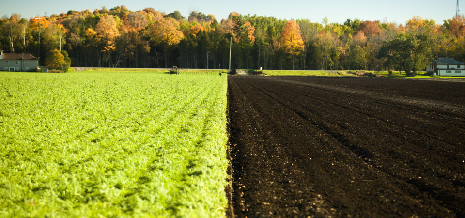 Producers of organic-based fertilizers form European consortium in Brussels