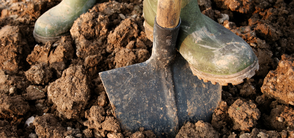 Digging deeper into organic-based fertilisers